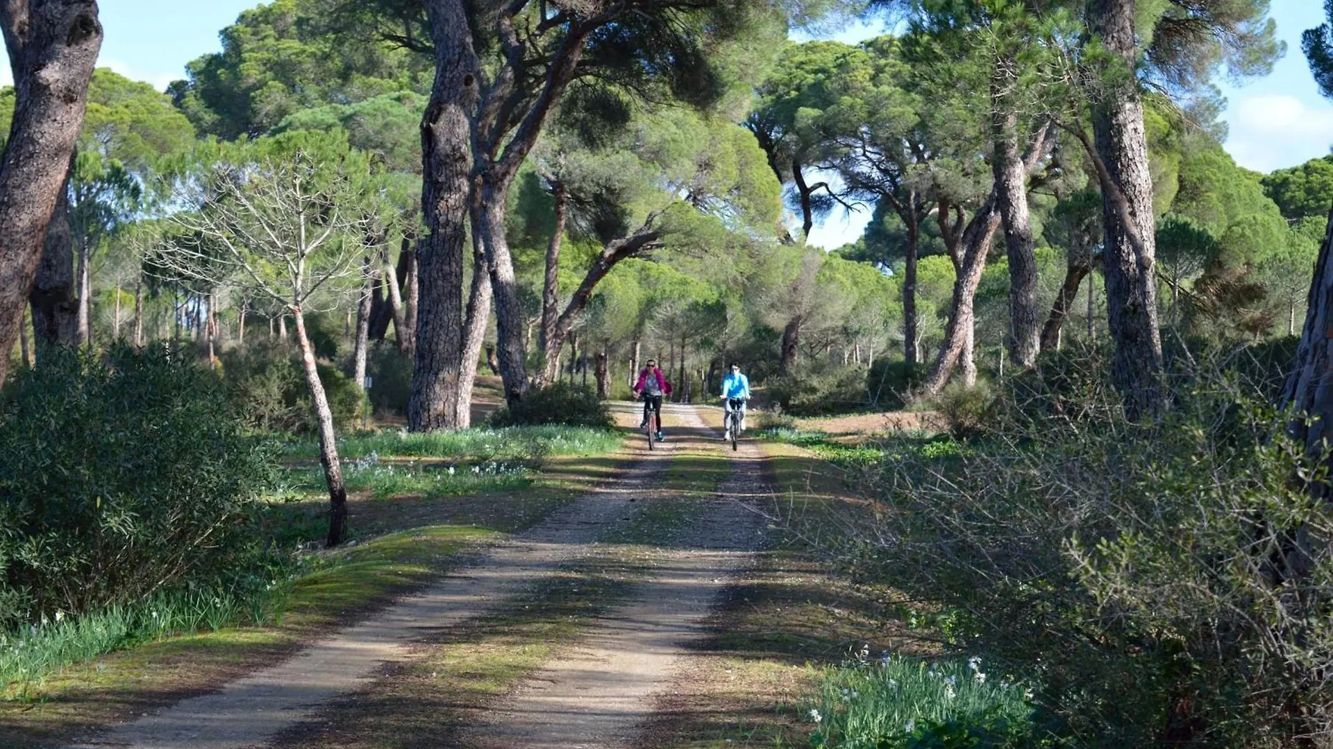 Sanlucarsun Apartamento Frente Al Mar Sanlúcar de Barrameda España
