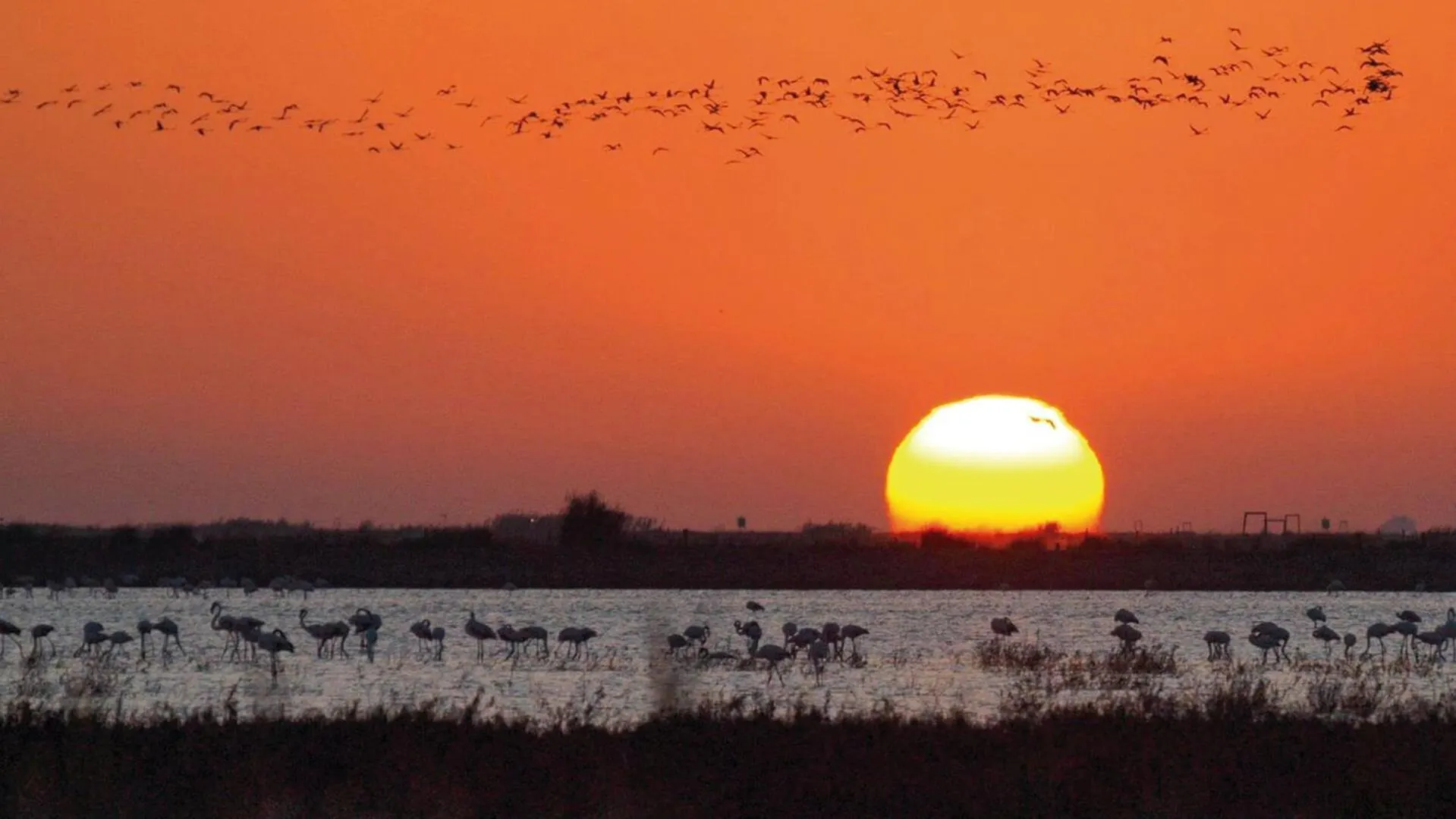 Sanlucarsun Apartamento Frente Al Mar Sanlúcar de Barrameda 0*,  España